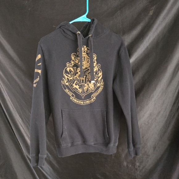 Warner Bros. Other - Warner Bros. Black Hoodie with Gold Emblem